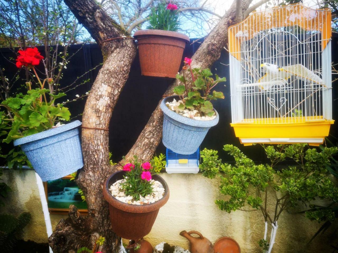 Hostel Sadu Kutaisi Dış mekan fotoğraf