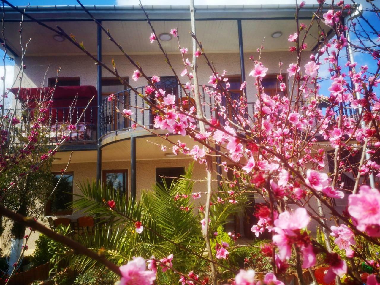 Hostel Sadu Kutaisi Dış mekan fotoğraf