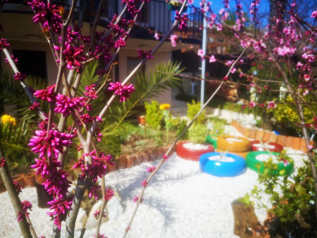 Hostel Sadu Kutaisi Dış mekan fotoğraf