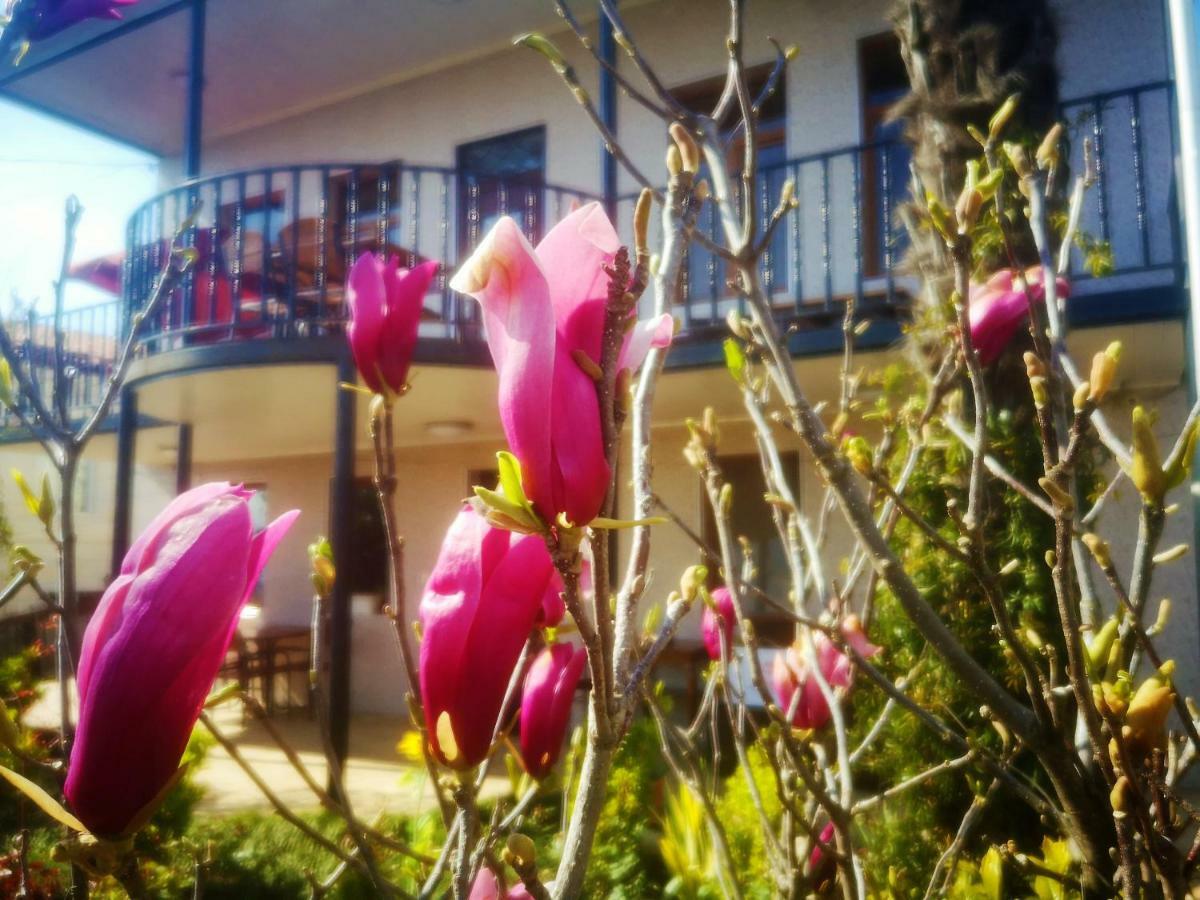 Hostel Sadu Kutaisi Dış mekan fotoğraf